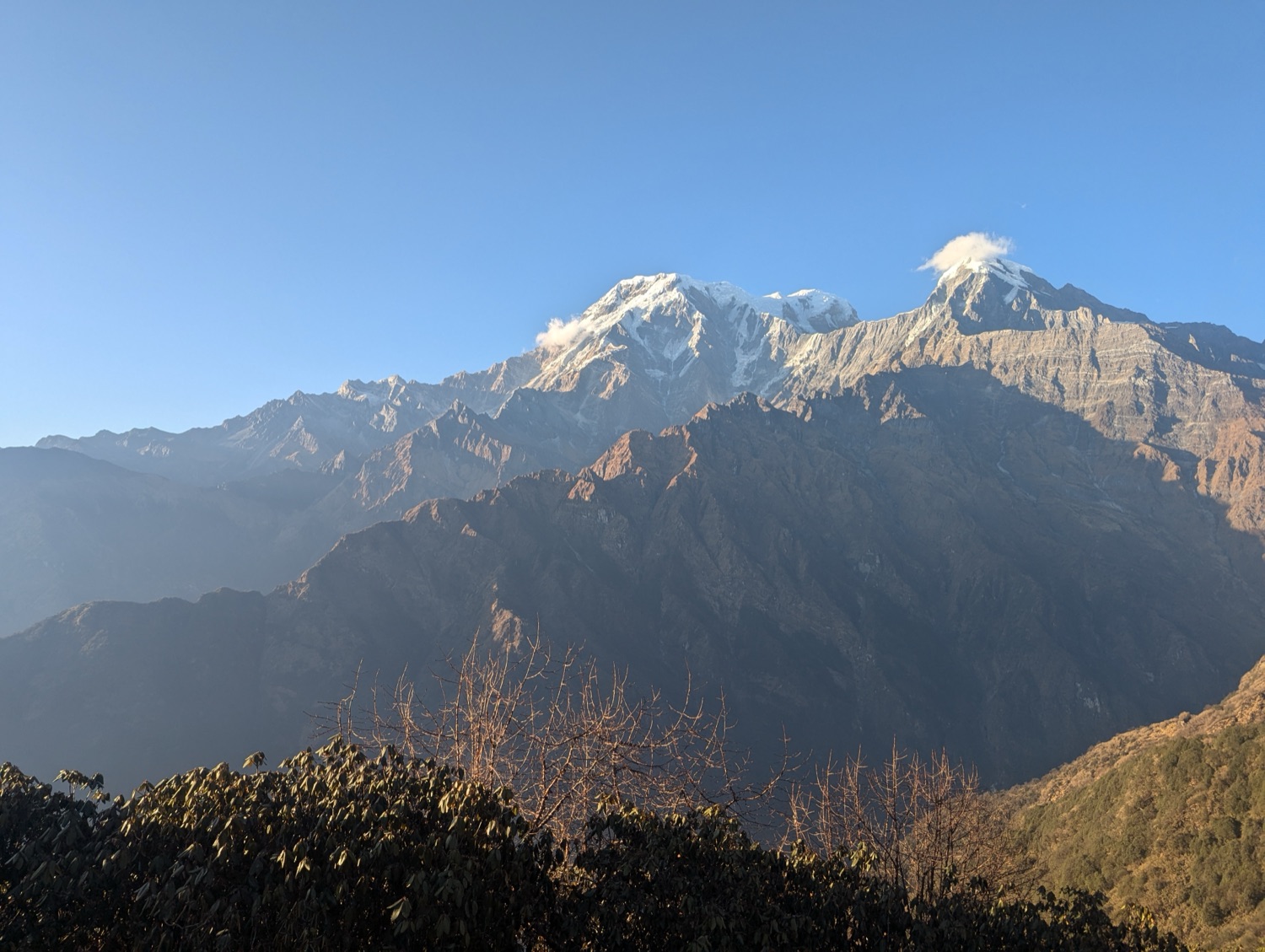 A Pack Train on the Trail up to Mardi Himal