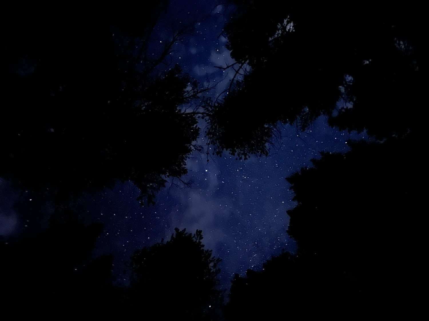 Night in Saugerties